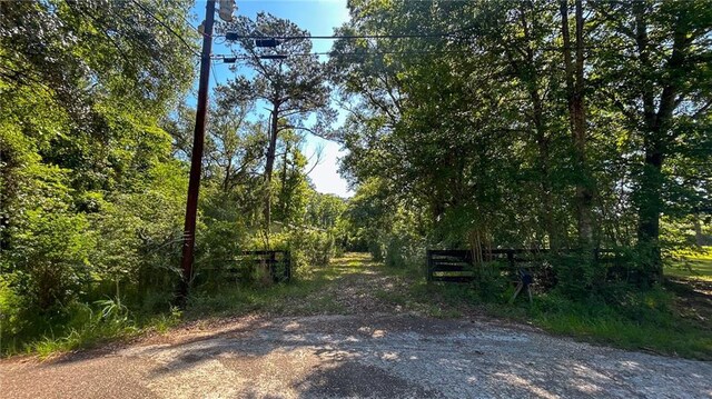 25281 Cleland Rd, Covington, LA 70435 - photo 3