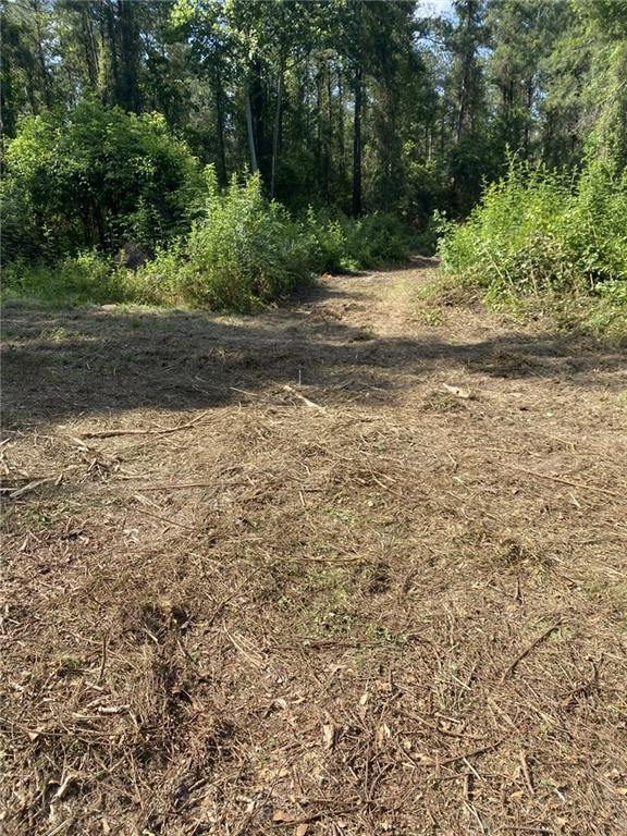 25281 Cleland Rd, Covington, LA 70435 - photo 5