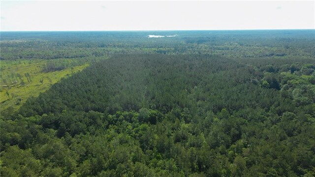 25281 Cleland Rd, Covington, LA 70435 - photo 10