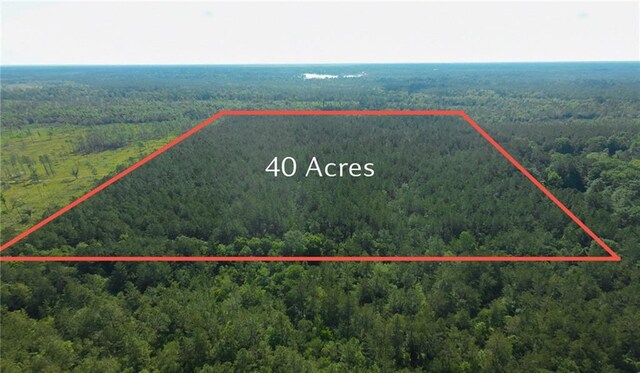 25281 Cleland Rd, Covington, LA 70435 - photo 12