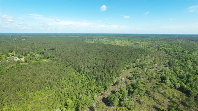 25281 Cleland Rd, Covington, LA 70435 - photo 13