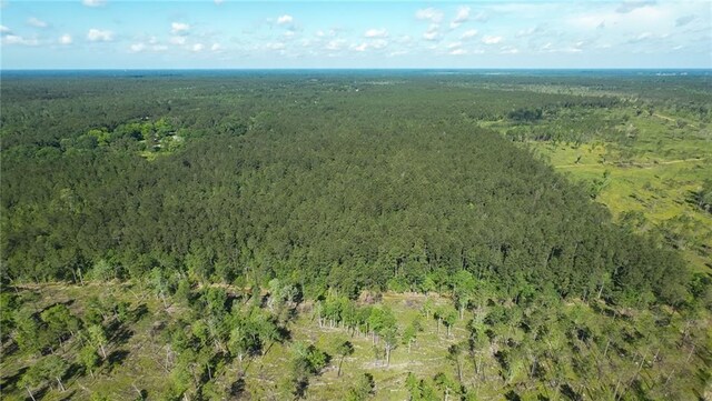 25281 Cleland Rd, Covington, LA 70435 - photo 15