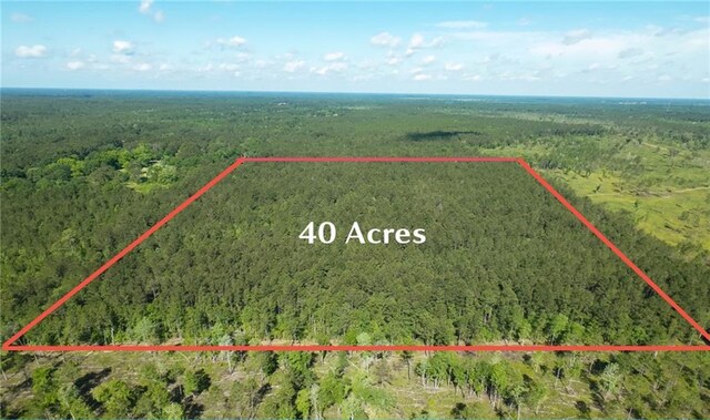25281 Cleland Rd, Covington, LA 70435 - photo 21