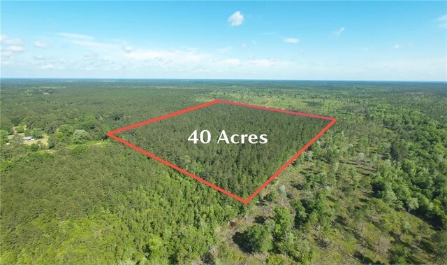 25281 Cleland Rd, Covington, LA 70435 - photo 22