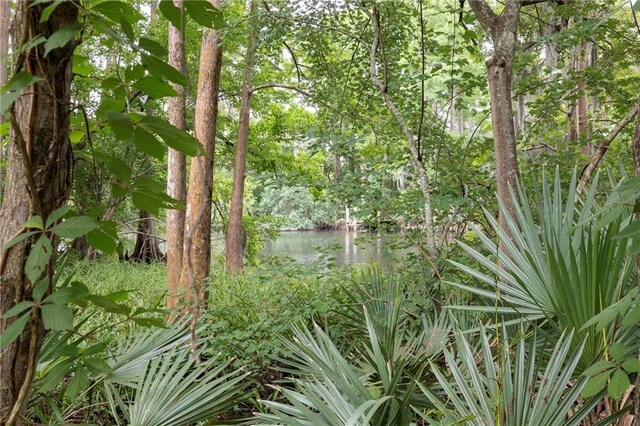 42 E Chamale Cv Unit 42, Slidell, LA 70460 - view of local wilderness featuring a large body of water