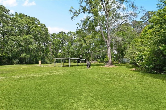 12175 Reid Rd, Amite, LA 70422 - view of grassy yard
