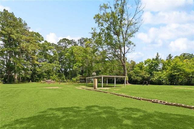 12175 Reid Rd, Amite, LA 70422 - view of green lawn featuring view of scattered trees