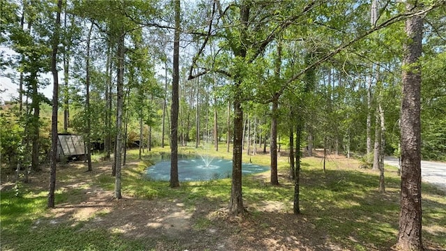 59314 Cypress Bayou Ln, Lacombe, LA 70445 - view of yard