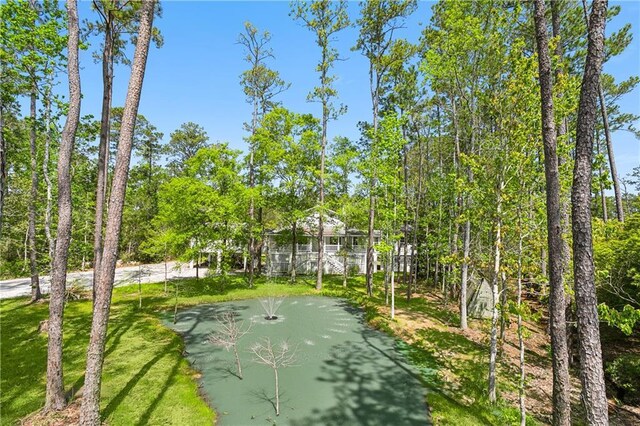 59314 Cypress Bayou Ln, Lacombe, LA 70445 - view of surrounding community