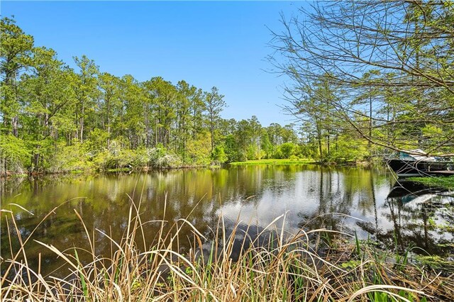 59314 Cypress Bayou Ln, Lacombe, LA 70445 - water view with a heavily wooded area