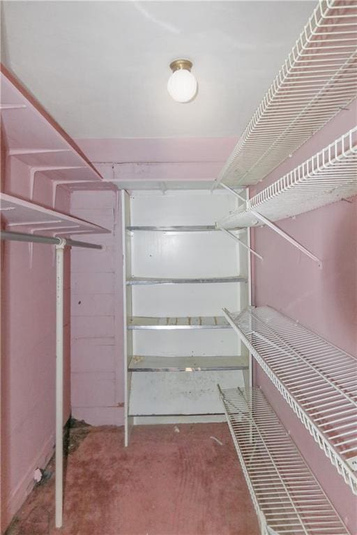 717 E Jefferson Park, Jefferson, LA 70121 - view of spacious closet
