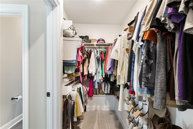 6476 Nesting Dr, Gonzales, LA 70737 - view of walk in closet