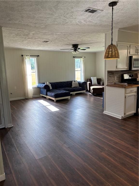 11036 Gulino Rd, Amite, LA 70422 - living area with dark wood-style floors, a ceiling fan, and a textured ceiling