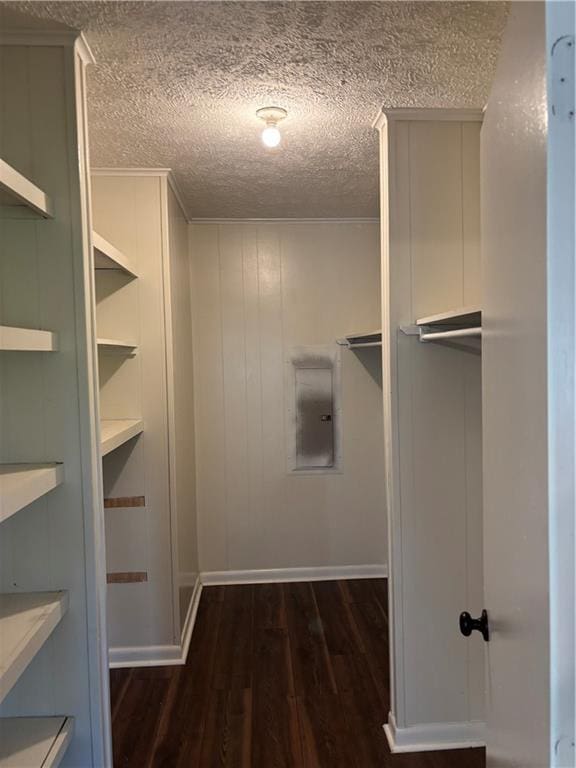 11036 Gulino Rd, Amite, LA 70422 - spacious closet featuring electric panel and dark wood-style floors
