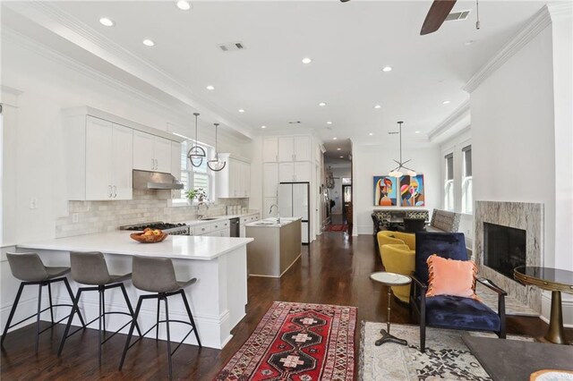 1212 Milan St, New Orleans, LA 70115 - kitchen with under cabinet range hood, a sink, a peninsula, dark wood-style floors, and light countertops
