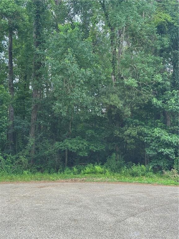 0000 Shady Ln, Tickfaw, LA 70466