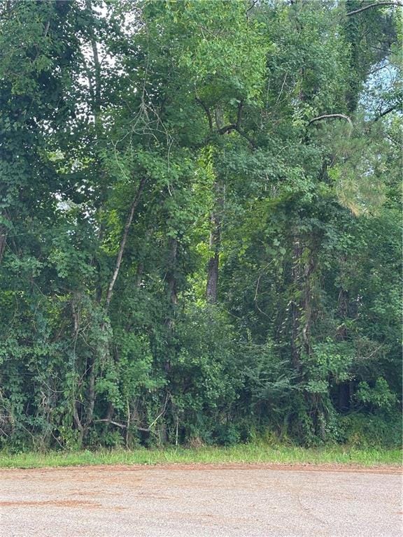 0000 Shady Ln, Tickfaw, LA 70466