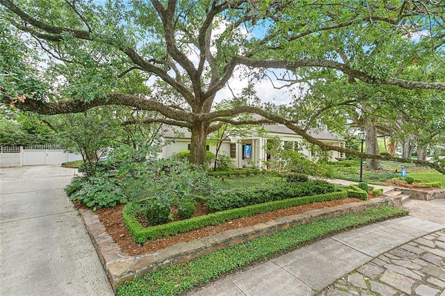 105 Mulberry Dr, Metairie, LA 70005 - view of property hidden behind natural elements with a gate
