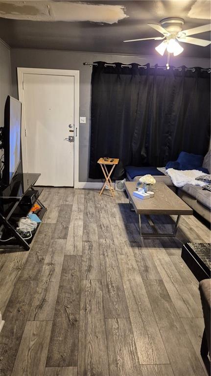 3218 Gentilly Blvd, New Orleans, LA 70122 - living area featuring hardwood / wood-style flooring and ceiling fan