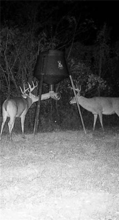 Powerline Rd, Angie, LA 70426 - photo 2