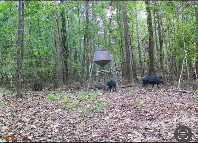 Powerline Rd, Angie, LA 70426 - photo 3
