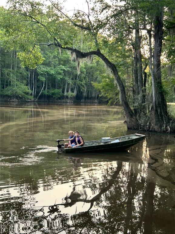 Powerline Rd, Angie, LA 70426 - photo 10