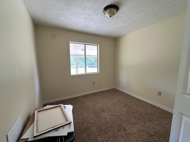 44373 Elmer Magee Rd, Franklinton, LA 70438 - carpeted spare room with a textured ceiling and baseboards