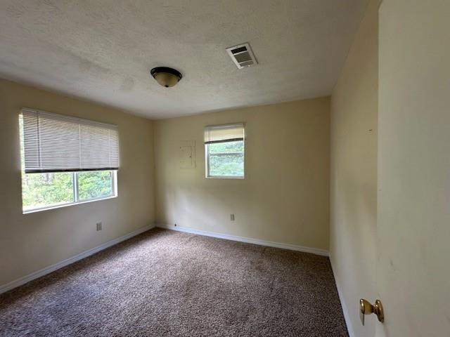 44373 Elmer Magee Rd, Franklinton, LA 70438 - carpeted spare room featuring baseboards and a textured ceiling