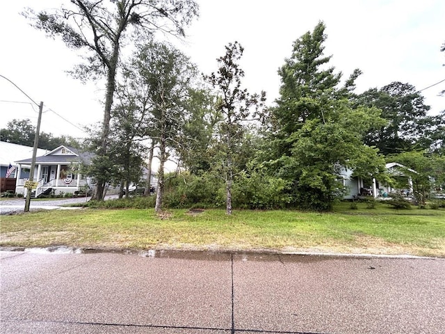 415 W 25th Ave, Covington, LA 70433 - photo 2