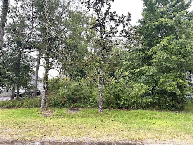 415 W 25th Ave, Covington, LA 70433 - photo 3