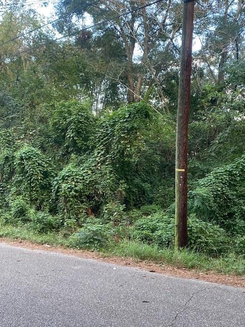 1320 Nbuchanan St, Covington, LA 70433 - photo 2
