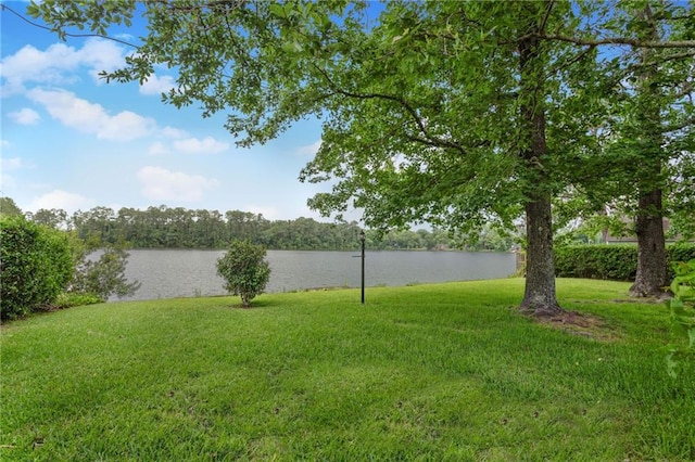 1569 Maplewood Dr, Slidell, LA 70458 - view of grassy yard featuring a water view