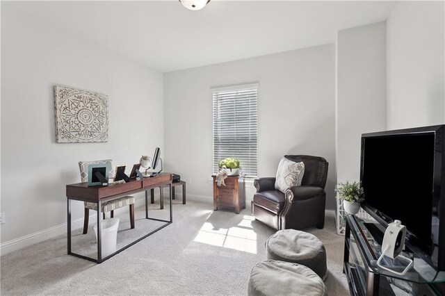 39651 Fairhope Dr, Ponchatoula, LA 70454 - carpeted office with baseboards