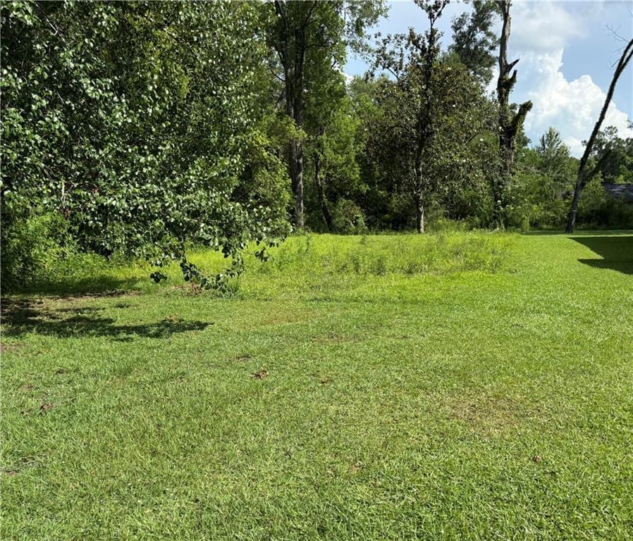 301 White St, Hammond, LA 70403 - photo 2