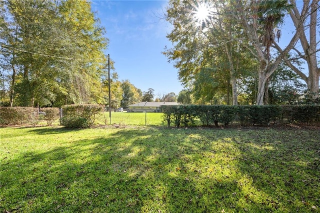 2108 Washington St, Franklinton, LA 70438 - view of yard