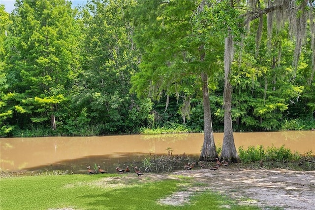 63 Doubloon Dr, Slidell, LA 70461 - view of yard