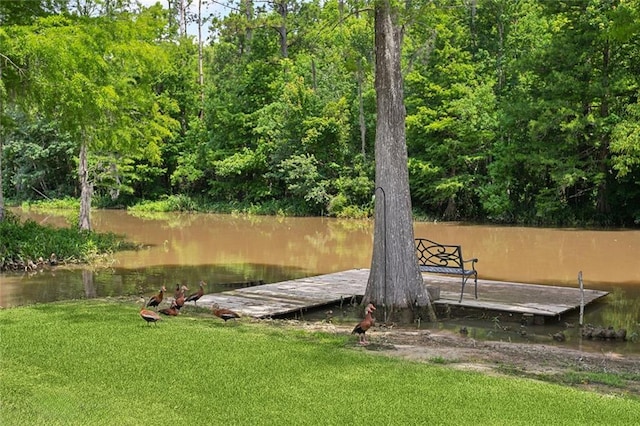 63 Doubloon Dr, Slidell, LA 70461 - dock with a yard and a water view