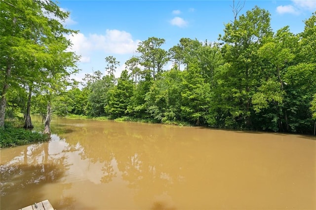 63 Doubloon Dr, Slidell, LA 70461 - water view featuring a forest