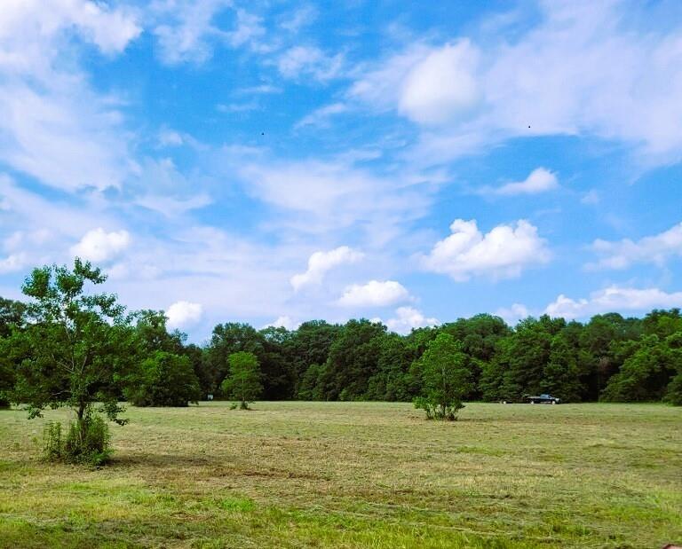 LOT1-B1-C Ed Yates Rd, Pearl River, LA 70452