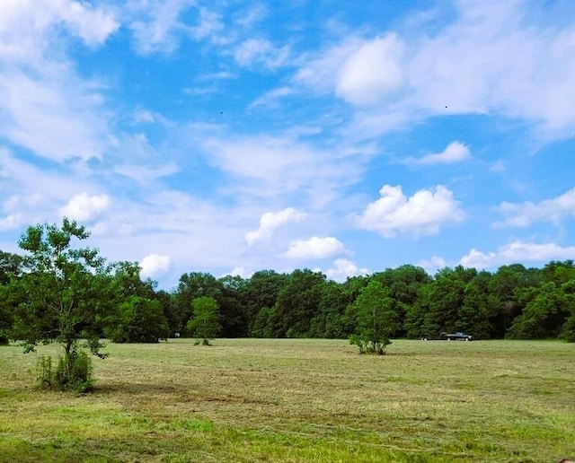 LOT1-B1-C Ed Yates Rd, Pearl River, LA 70452