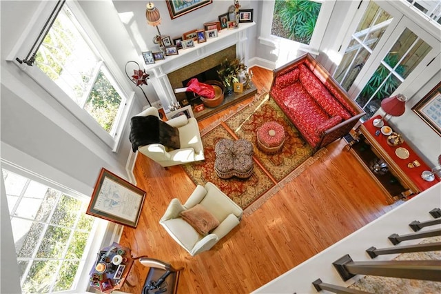 826 N Carrollton Ave, New Orleans, LA 70119 - living room featuring plenty of natural light, a fireplace, and wood finished floors