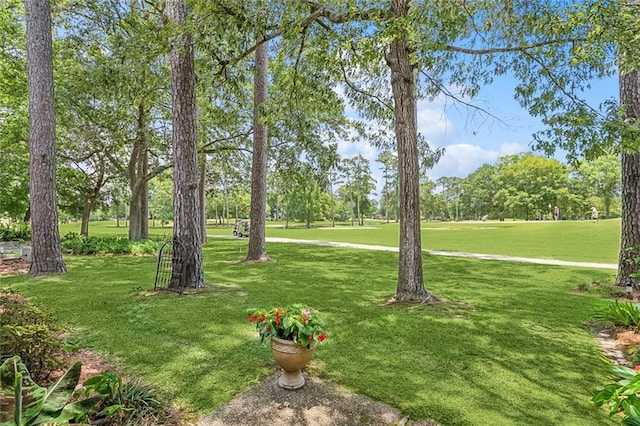 8 S Court Villa Unit 8, Mandeville, LA 70471 - view of grassy yard