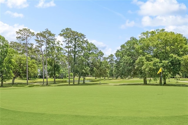 8 S Court Villa Unit 8, Mandeville, LA 70471 - view of property's community featuring view of scattered trees and a putting area
