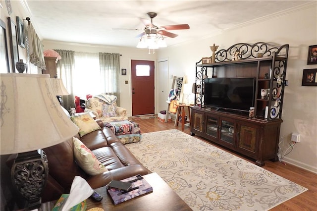 929 Carnation Ave, Metairie, LA 70001 - living room featuring ceiling fan, ornamental molding, wood finished floors, and baseboards