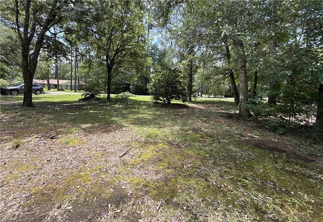 119 Devereux Dr, Slidell, LA 70461 - view of yard