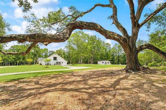 84012 N Factory Rd, Folsom, LA 70437 - photo 4