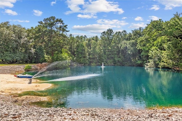 23375 Lowe Davis Rd, Covington, LA 70435 - water view with a heavily wooded area