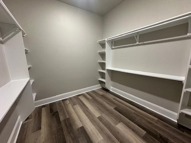 1731 Pratt Dr, New Orleans, LA 70122 - spacious closet featuring wood finished floors