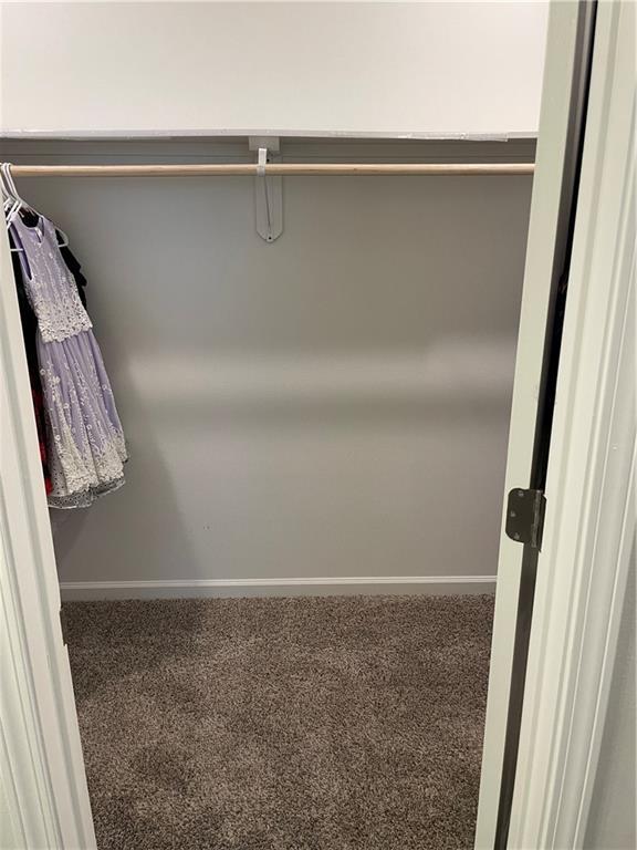 47715 Cathy Ln, Robert, LA 70455 - walk in closet with carpet floors