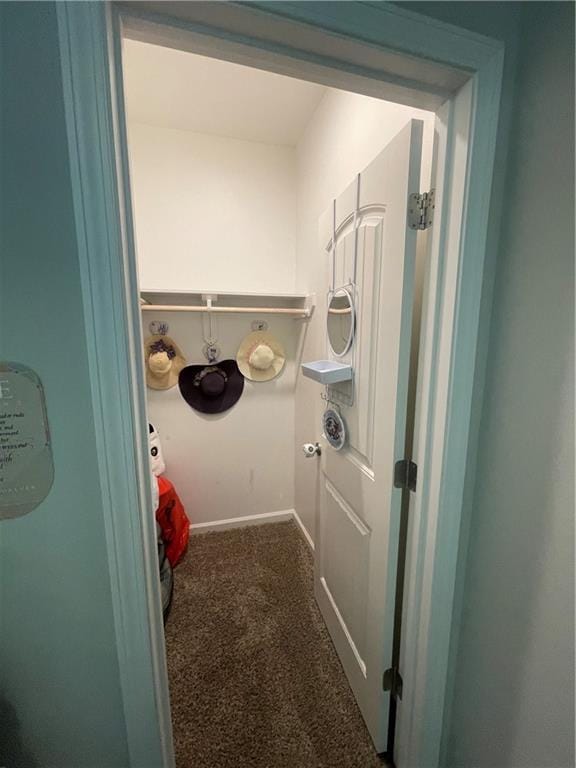 47715 Cathy Ln, Robert, LA 70455 - spacious closet with dark carpet